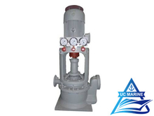 CLZ/2 Series Marine Vertical Self-priming Double-stage Double-outlet Centrifugal Pump
