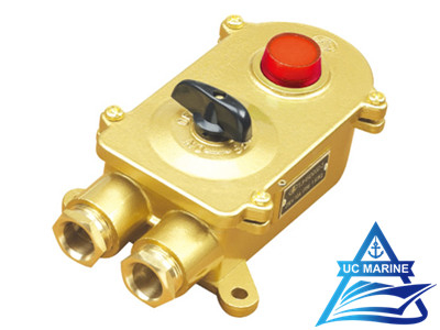 Marine Brass Switch with Indicator Light TJHSD202