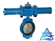 Marine Center-pivoted Hydraulic-drive Butterfly Valve