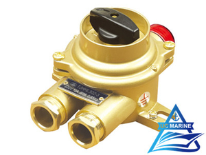 Marine Brass Switch with Indicator Light TJHHL302