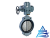 D Type Marine Center-pivoted Electric-drive Butterfly Valve
