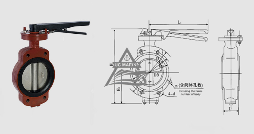 Marine Center-pivoted Handle-drive Manual Butterfly Valve.jpg